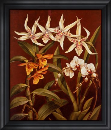 Framed Orchid Trio I Print