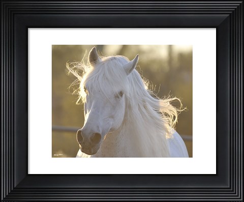 Framed Angel Baby Print