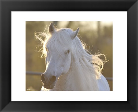 Framed Angel Baby Print