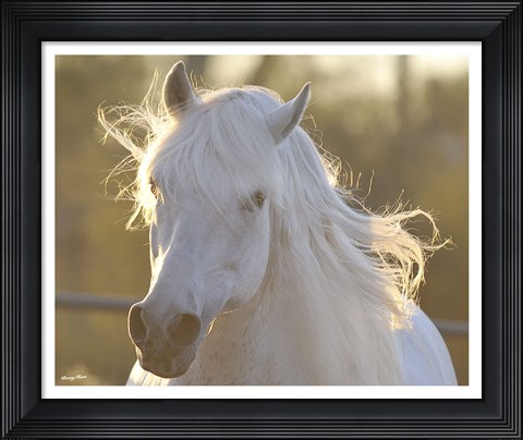 Framed Angel Baby Print