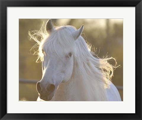 Framed Angel Baby Print