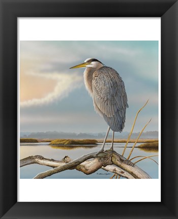 Framed Marsh Watch - Great Blue Heron Print