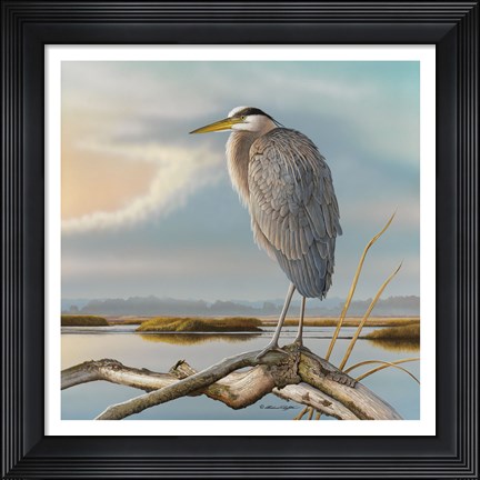 Framed Marsh Watch - Great Blue Heron Print