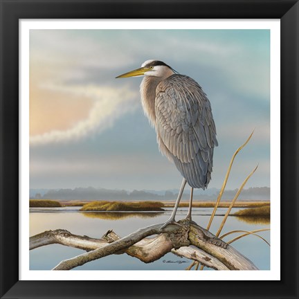 Framed Marsh Watch - Great Blue Heron Print