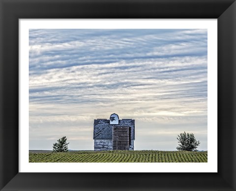 Framed Taking a Stand Print