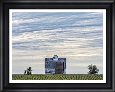 Framed Taking a Stand Print