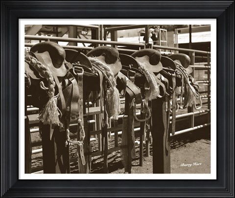 Framed Bareback Saddles Print