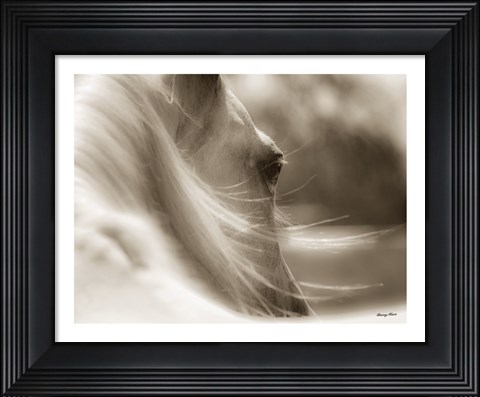 Framed My Eyes Adored You Print