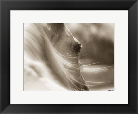 Framed My Eyes Adored You Print