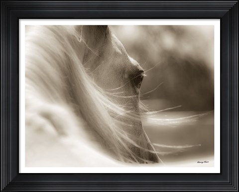 Framed My Eyes Adored You Print