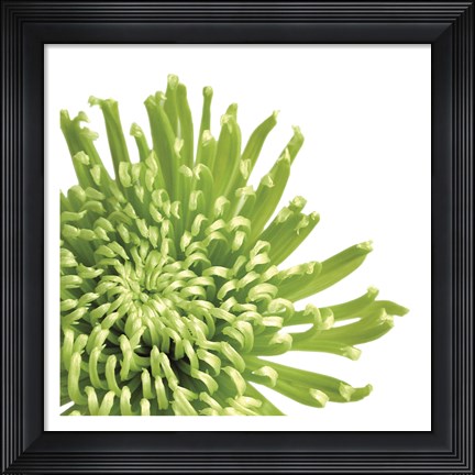 Framed Green Bloom 3 (detail) Print