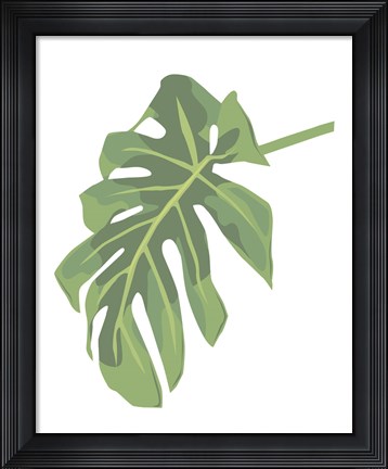Framed Philodendron 3 Print