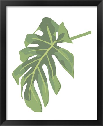 Framed Philodendron 3 Print