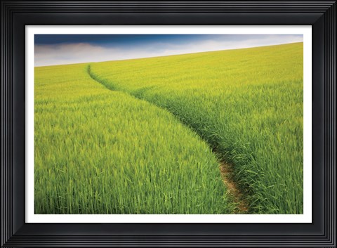 Framed Seductive Path Print