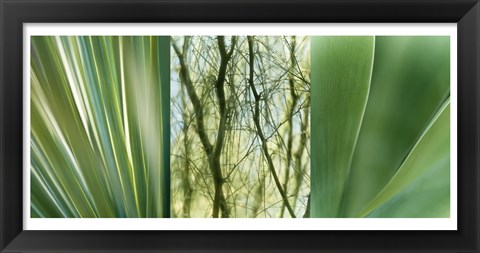 Framed Jade Gardens Print