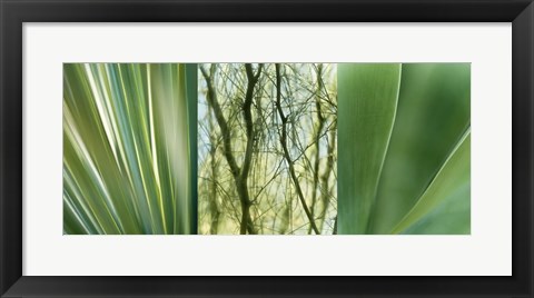 Framed Jade Gardens Print