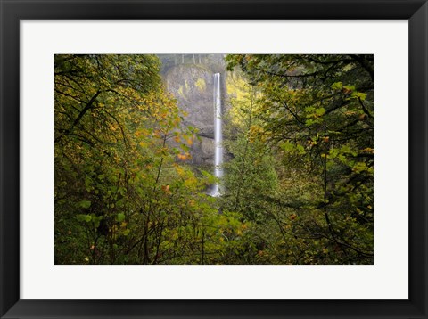 Framed Oregon Waterfall Print