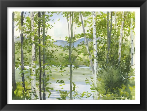 Framed Summer Lake III Print