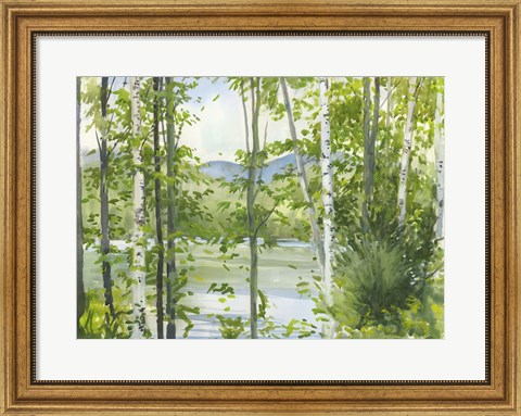 Framed Summer Lake III Print