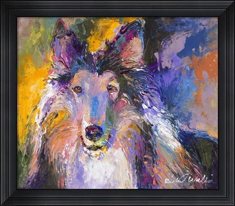 Framed Collie Print