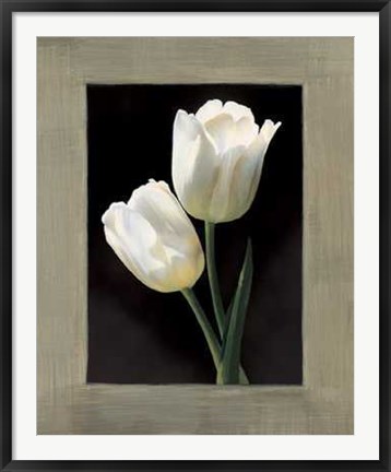 Framed Tulipani Bianchi Print