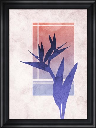 Framed Ombre Bird of Paradise Flower Print