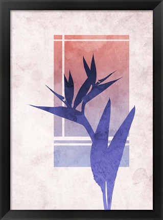 Framed Ombre Bird of Paradise Flower Print