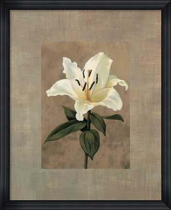 Framed Lily Print