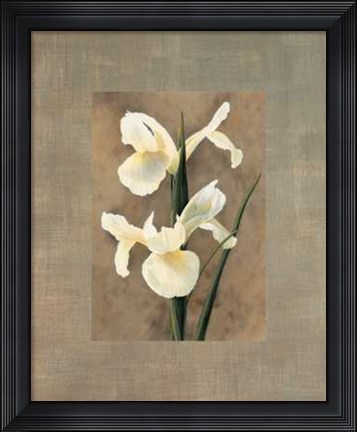 Framed Iris Print