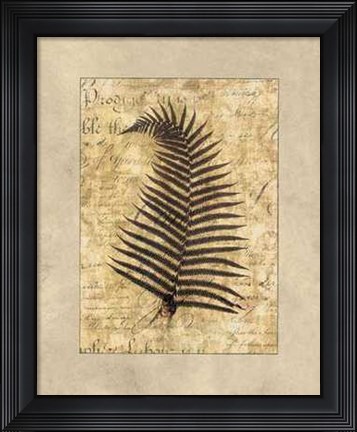 Framed Fern I Print