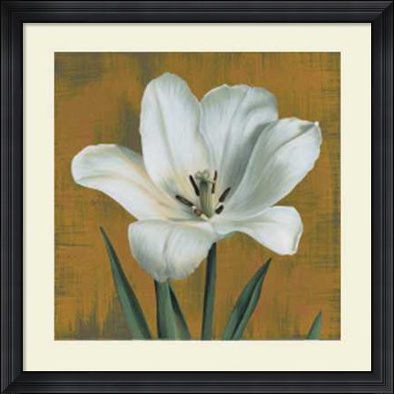 Framed Tulipano Print