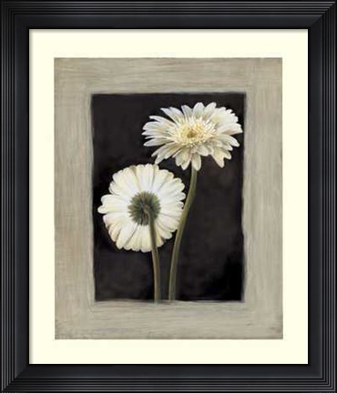 Framed Flora II Print