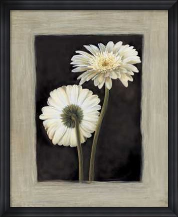 Framed Flora II Print