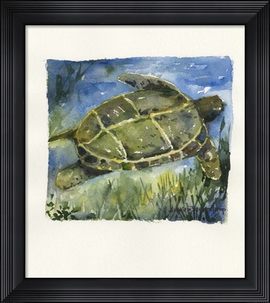 Framed Gliding Print