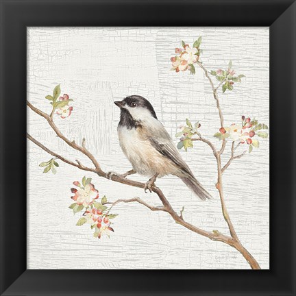 Framed Black Capped Chickadee Vintage Print