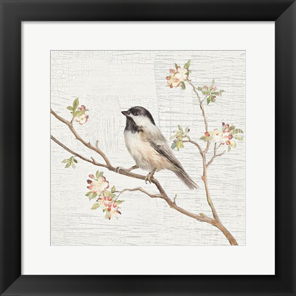 Framed Black Capped Chickadee Vintage Print