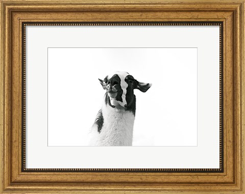 Framed Lovable Llama I Print