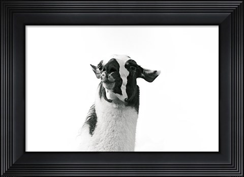 Framed Lovable Llama I Print