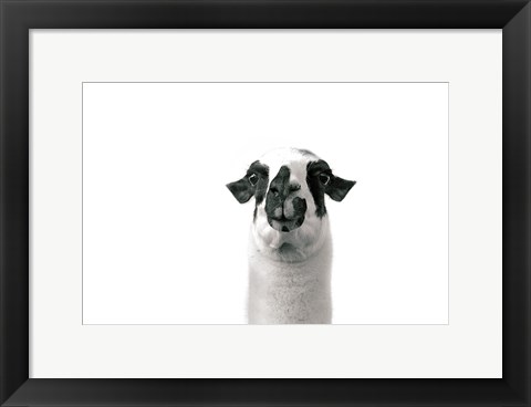 Framed Lovable Llama II Print