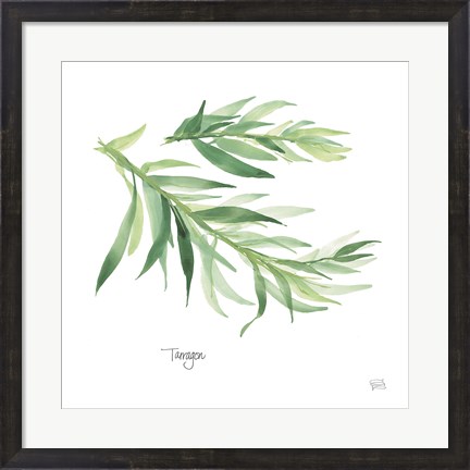 Framed Tarragon Print