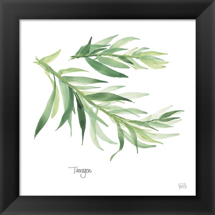 Framed Tarragon Print