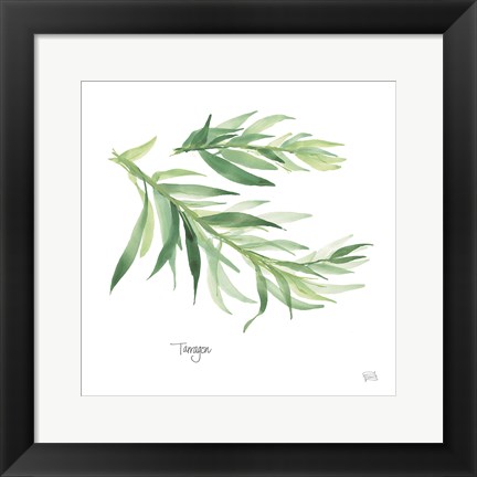 Framed Tarragon Print