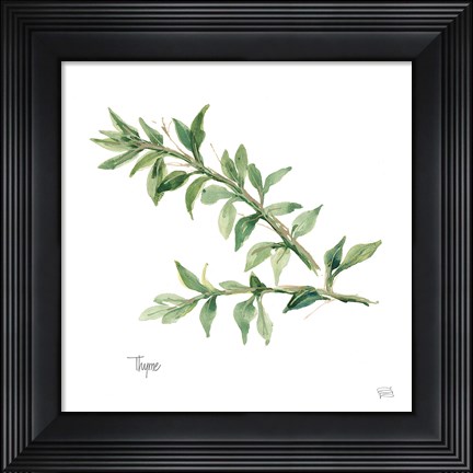 Framed Thyme Print
