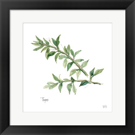 Framed Thyme Print