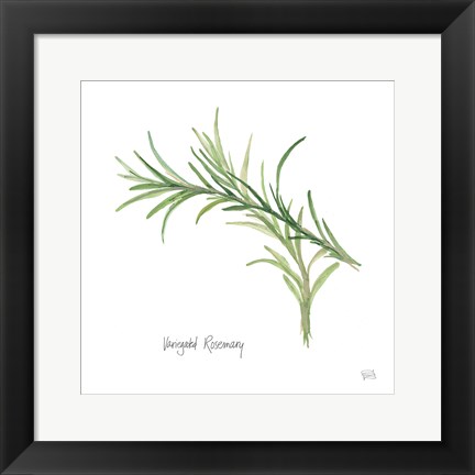 Framed Variegated Rosemary Print