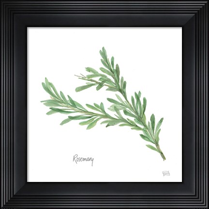 Framed Rosemary Print