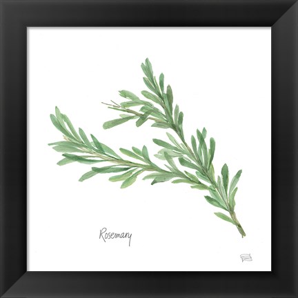 Framed Rosemary Print