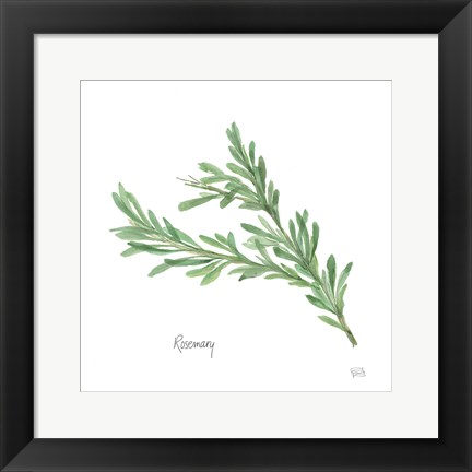 Framed Rosemary Print