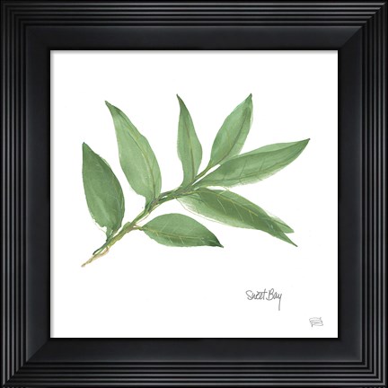 Framed Sweet Bay Print