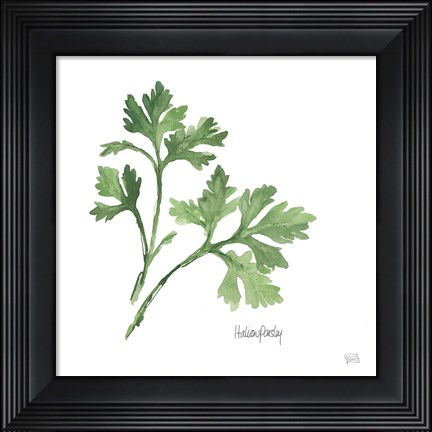 Framed Italian Parsley Print